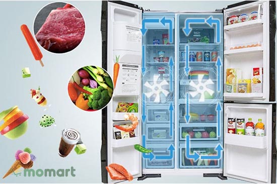 Tủ lạnh Hitachi R-M700GPGV2 làm đẹp không gian sống