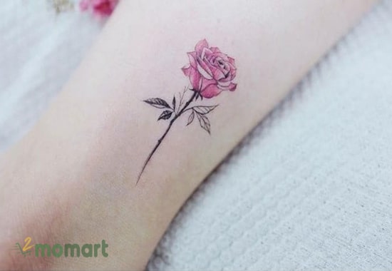 Bông hoa hồng mini là biểu tượng của sự thủy chung