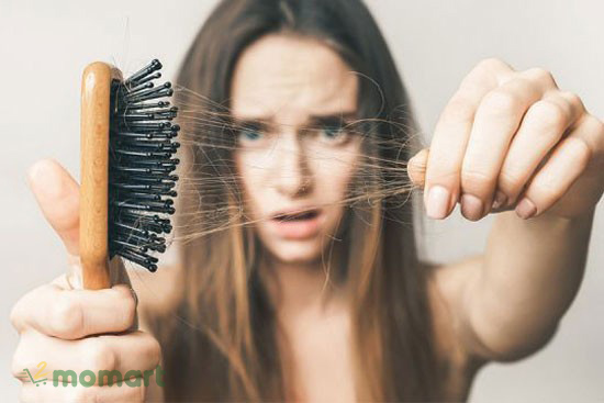 Tóc rụng là do bạn sử dụng loại dầu gội không phù hợp