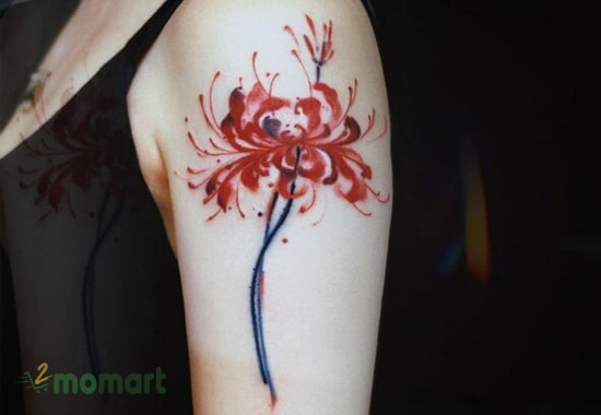 Mẫu tattoo hoa bỉ ngạn trên bắp tay nhẹ nhàng và đơn giản