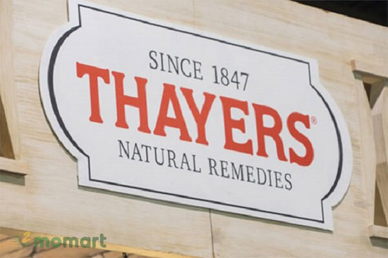 Nước hoa hồng Thayers có mấy loại, phù hợp với làn da nào?