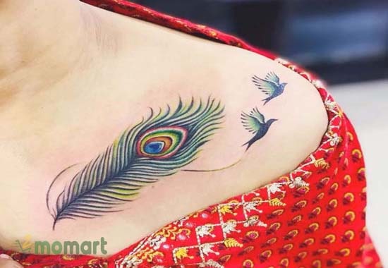 Hình tattoo lông vũ với chim én thể hiện sự tự do