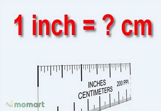 Quy đổi 1cm bằng bao nhiêu cm để dễ dàng tính toán