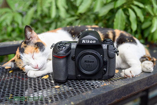 Máy ảnh phim ống kính rời Nikon