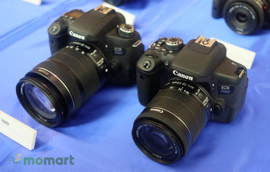 Máy ảnh Canon 750D mang lại hình ảnh sắc nét, chân thực