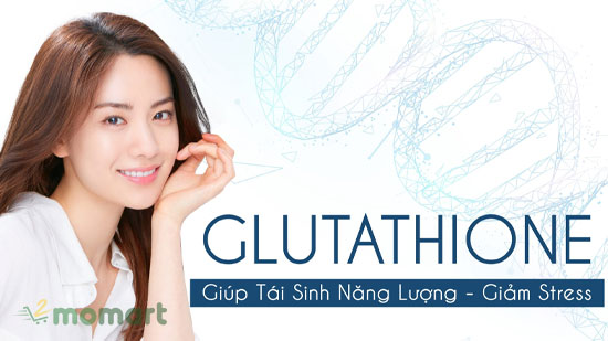 Chất Glutathione tái sinh năng lượng, giảm stress