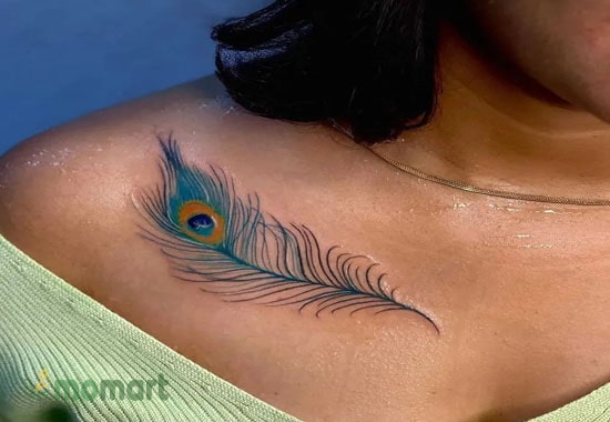 Hình tattoo lông vũ với màu sắc cuốn hút và rực rỡ trên vai bạn nữ
