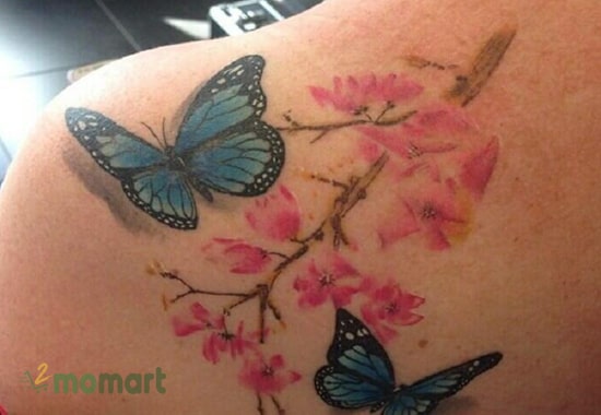 Tattoo hoa anh đào và bướm là một sự kết hợp đầy mới lạ