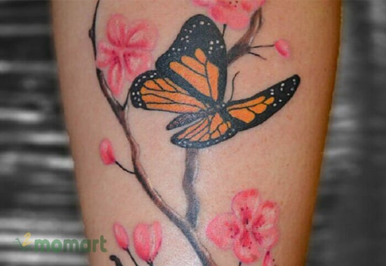 Họa bì hoa anh đào kết hợp cùng bướm đậu trên chân