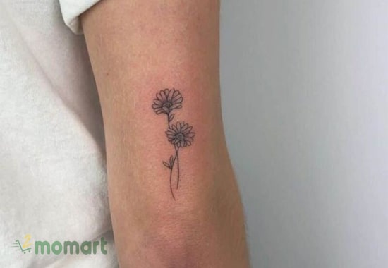 Mẫu tattoo hoa cúc đơn nhẹ nhàng và đơn giản