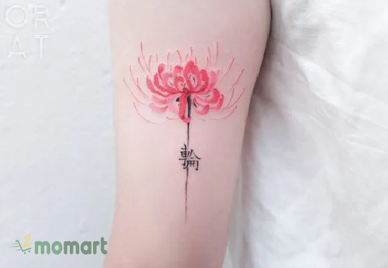 Hình xăm mini đẹp ở cánh tay hình hoa bỉ ngạn ý nghĩa