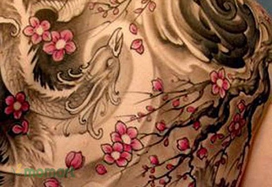 Xăm Yakuza họa tiết hoa anh đào có thể kết hợp với các hình ảnh khác