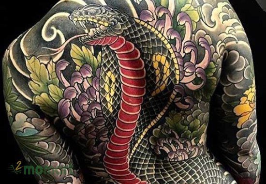 Hình xăm Yakuza họa tiết rắn mang nhiều tầng lớp ý nghĩa nhất hiện nay