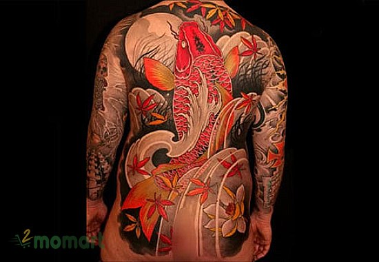 Tattoo Yakuza cá chép full lưng cực ấn tượng