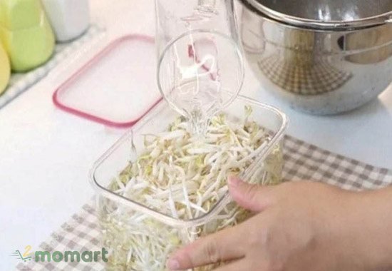 Ngâm nước để bảo quản giá tươi ngon