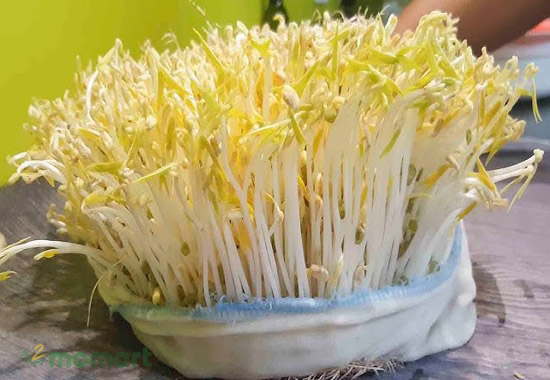 Sử dụng rổ nhựa để làm giá là cách an toàn