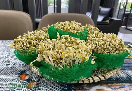 Những chiếc túi lưới được tận dụng để làm giá