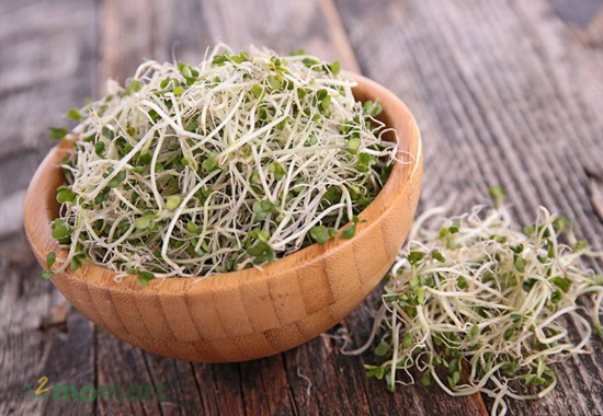 Ăn giá đỗ sẽ giúp tăng cường hệ miễn dịch