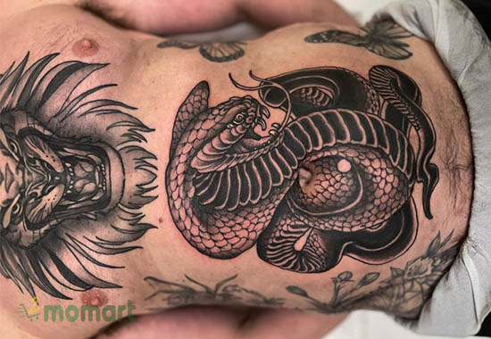 Full bụng hình tattoo con rắn hổ