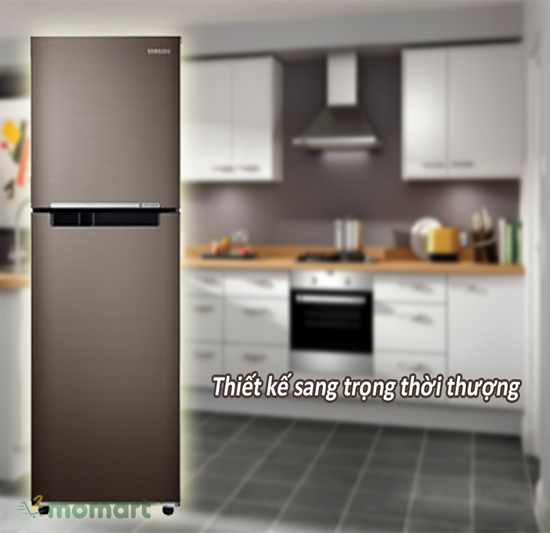 Tủ lạnh Samsung Inverter RT22M4032DX/SV chính hãng