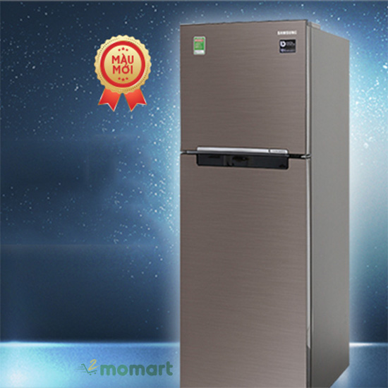 Tủ lạnh Samsung Inverter RT22M4032DX/SV dung tích phù hợp