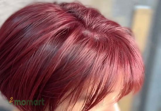 Kiểu tóc bob hot trend kết hợp màu đỏ cherry khiến các cô nàng thật nổi bật
