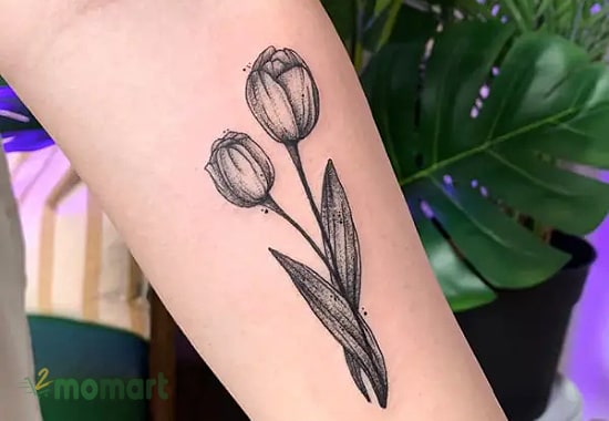 Ý nghĩa hình xăm hoa Tulip đen