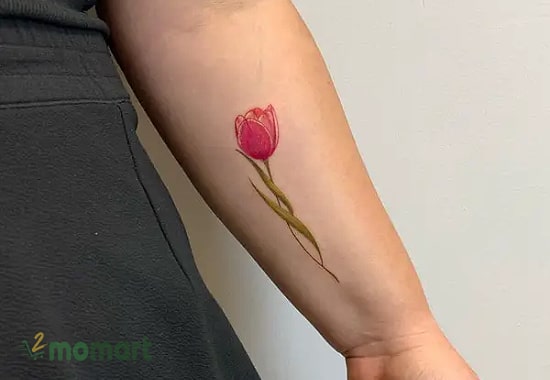 Ý nghĩa hình xăm hoa Tulip đỏ đẹp