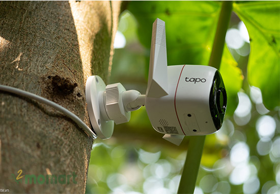 Sản phẩm camera Tapo C310 có kích cỡ nhỏ gọn và dễ sử dụng