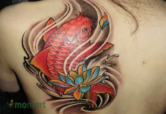 Sự kết hợp của cá chép và hoa sen tạo nên tác phẩm tattoo độc đáo