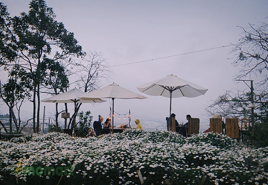 Top những quán cafe view đẹp ở Đà Lạt