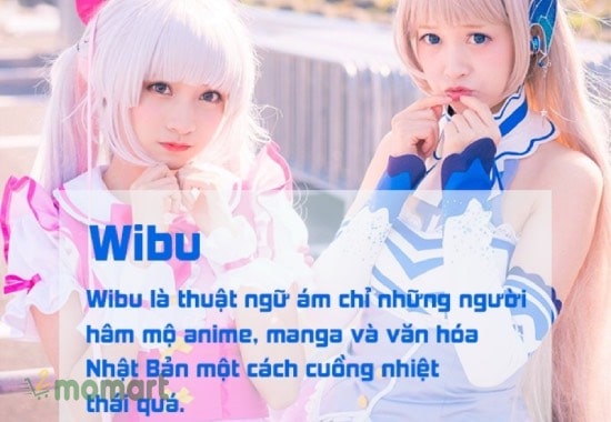 Wibu là cụm từ chỉ những người cuồng văn hoá Nhật quá mức
