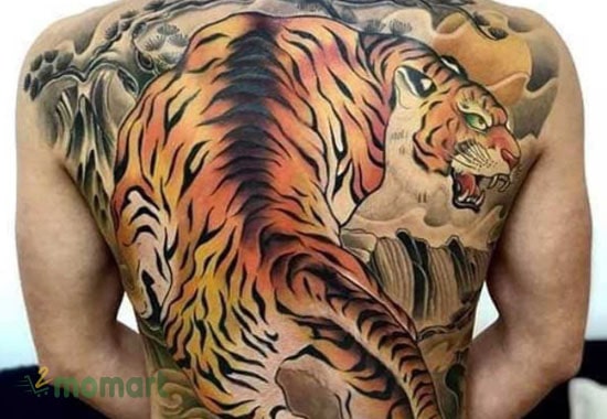 Hình xăm con hổ cực kỳ độc đáo trên lưng