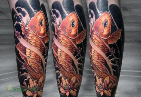 Tattoo hình cá chép hoa sen ở bắp chân ý nghĩa