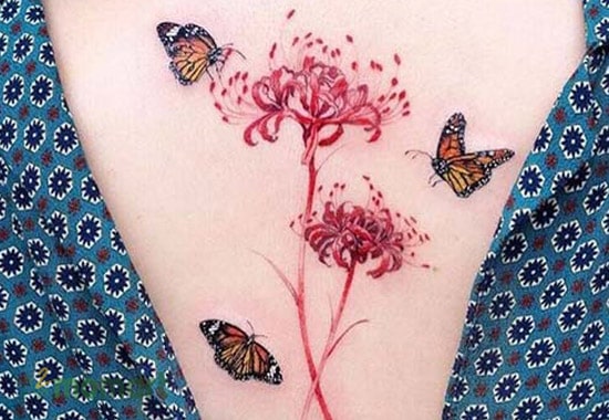Tattoo hoa bỉ ngạn đại diện cho vẻ đẹp cuốn hút, mê hoặc