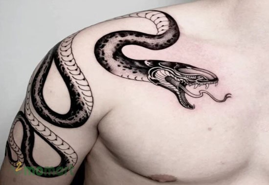 Hình ảnh chú rắn mềm mại và bí ẩn được xăm nửa ngực
