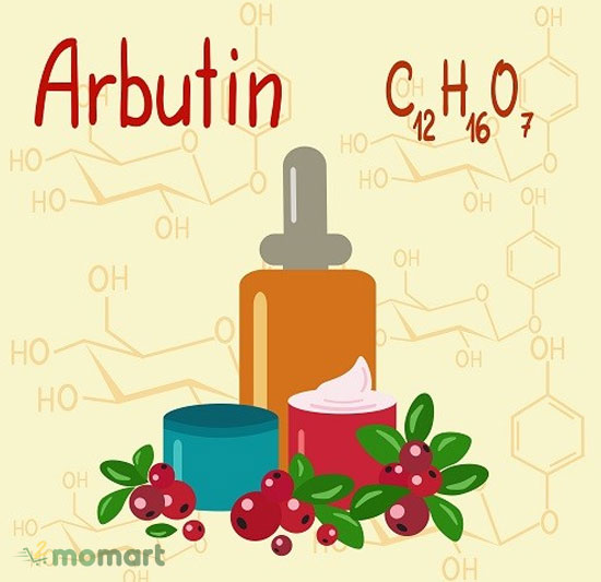 Phân biệt sự khác nhau giữa arbutin và hydroquinone 