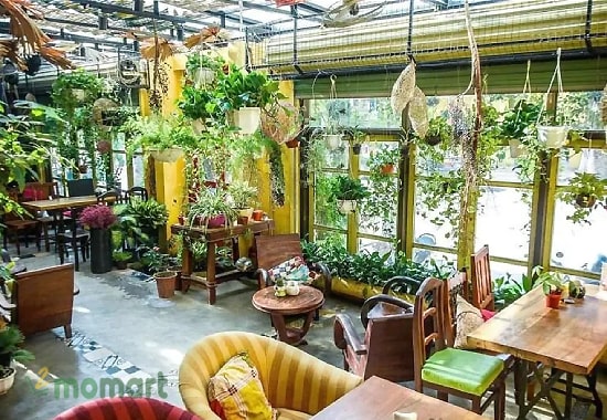 Ohi Tree & Coffee là quán cà phê decor đẹp Hà Nội
