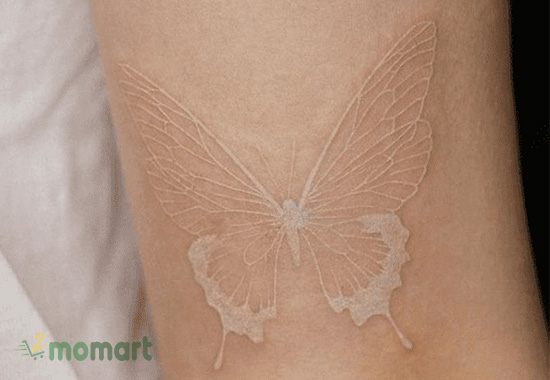 Ý nghĩa đặc biệt về hình xăm bướm trắng trên tay
