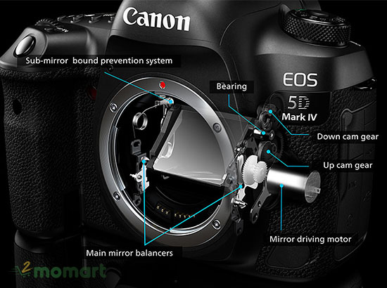 Máy ảnh Canon EOS 5D Mark IV giúp hình ảnh luôn sắc nét