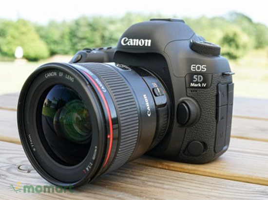 Máy ảnh Canon EOS 5D Mark IV giúp lấy nét hoàn hảo