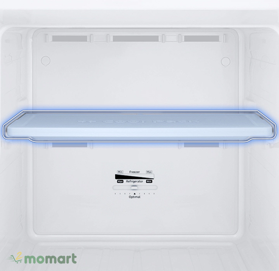 Tủ lạnh Samsung Inverter 256 lít RT25M4032BY/SV bảo quản thực phẩm tươi ngon