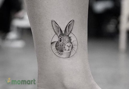 Hình xăm con thỏ ở chân cute
