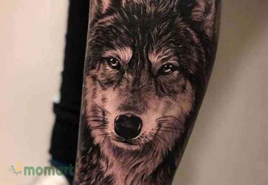 Bộ sưu tập hình xăm chó sói cực chất cho nam nữ yêu thích nghệ thuật tattoo   Hình xăm động vật Wolf tattoo design Hình xăm