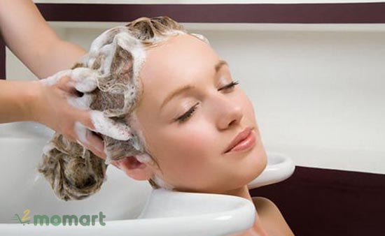 Sử dụng dầu gội trị rụng tóc hiệu quả