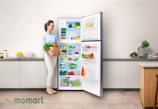 Nhu cầu sử dụng tủ lạnh hiện đại ngày càng tăng
