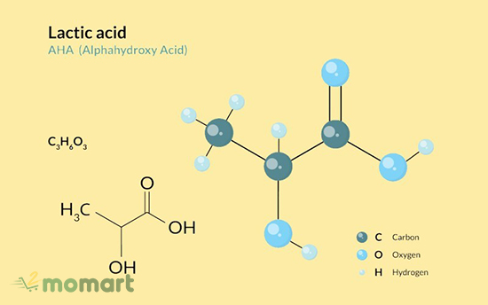Định nghĩa Lactic Acid là gì?