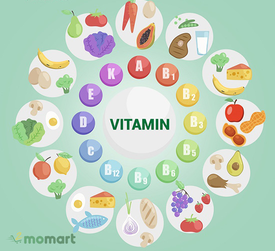 Tìm hiểu về vitamin