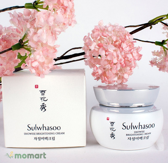Cách dùng Sulwhasoo Snowise Brightening
