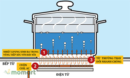 Bếp từ hoạt động như thế nào?